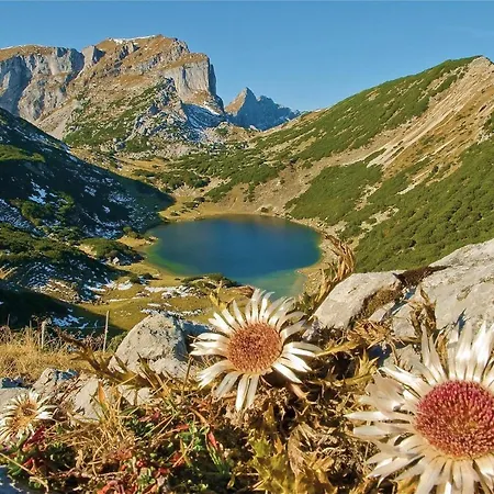 Zzzz Abgemeldet-haus Matzenblick * Reith im Alpbachtal